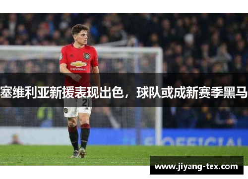 塞维利亚新援表现出色，球队或成新赛季黑马